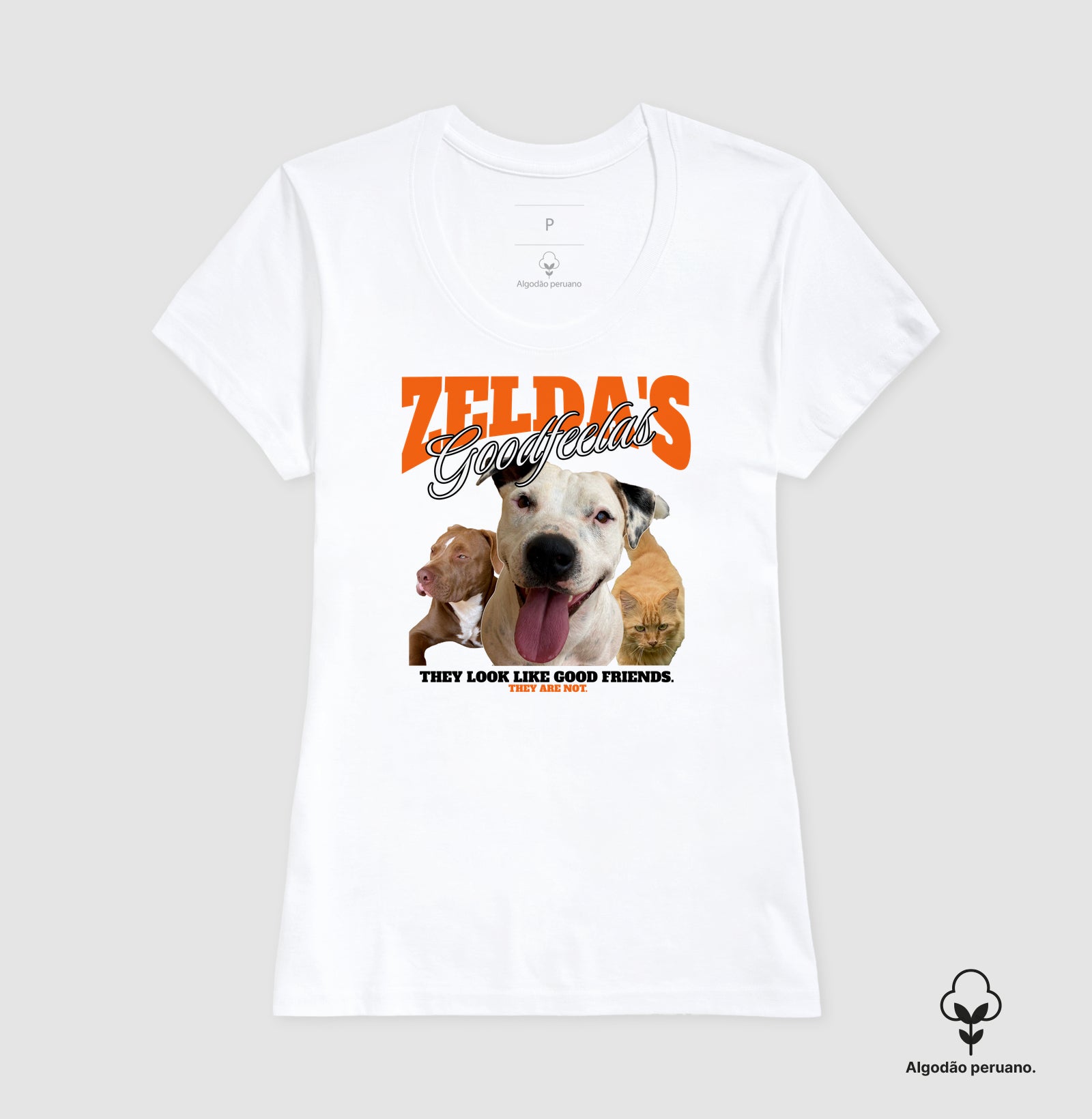 Bons Companheiros de Zelda (Só que não)