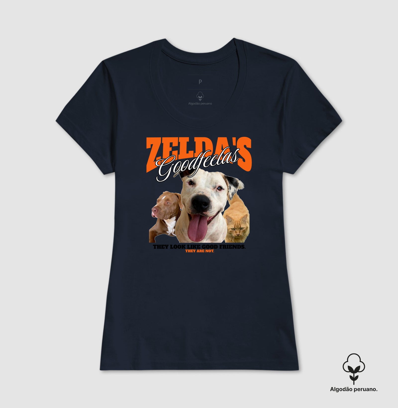 Bons Companheiros de Zelda (Só que não)