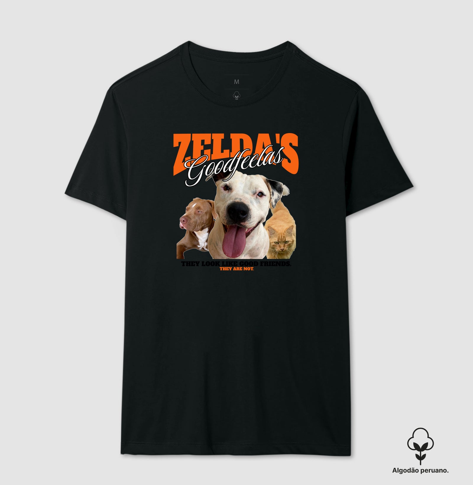 Bons Companheiros de Zelda (Só que não)