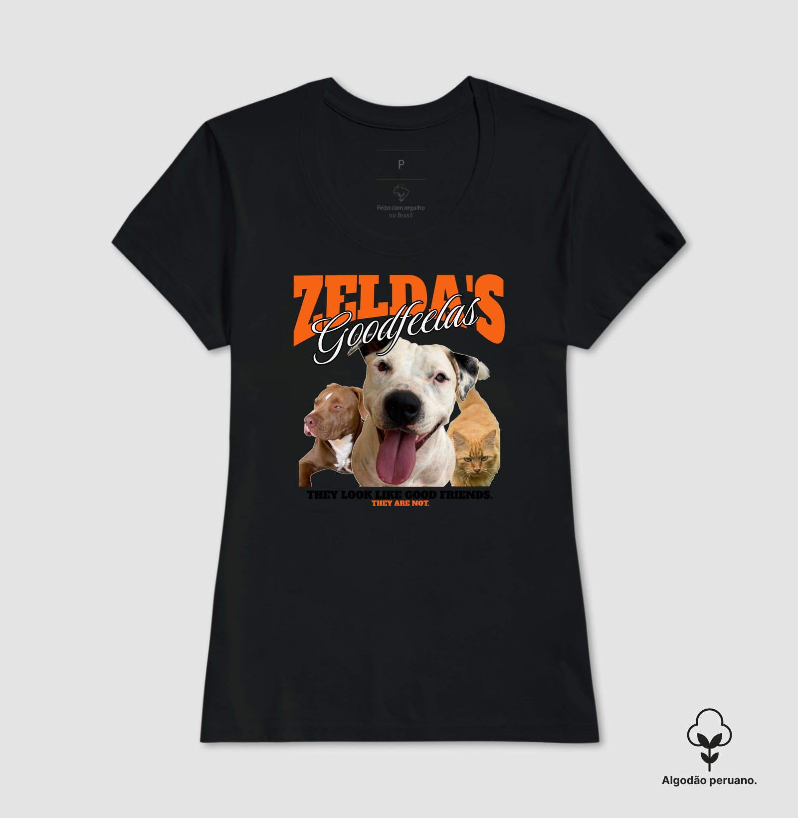 Bons Companheiros de Zelda (Só que não)
