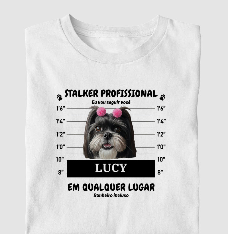 Stalker Profissional