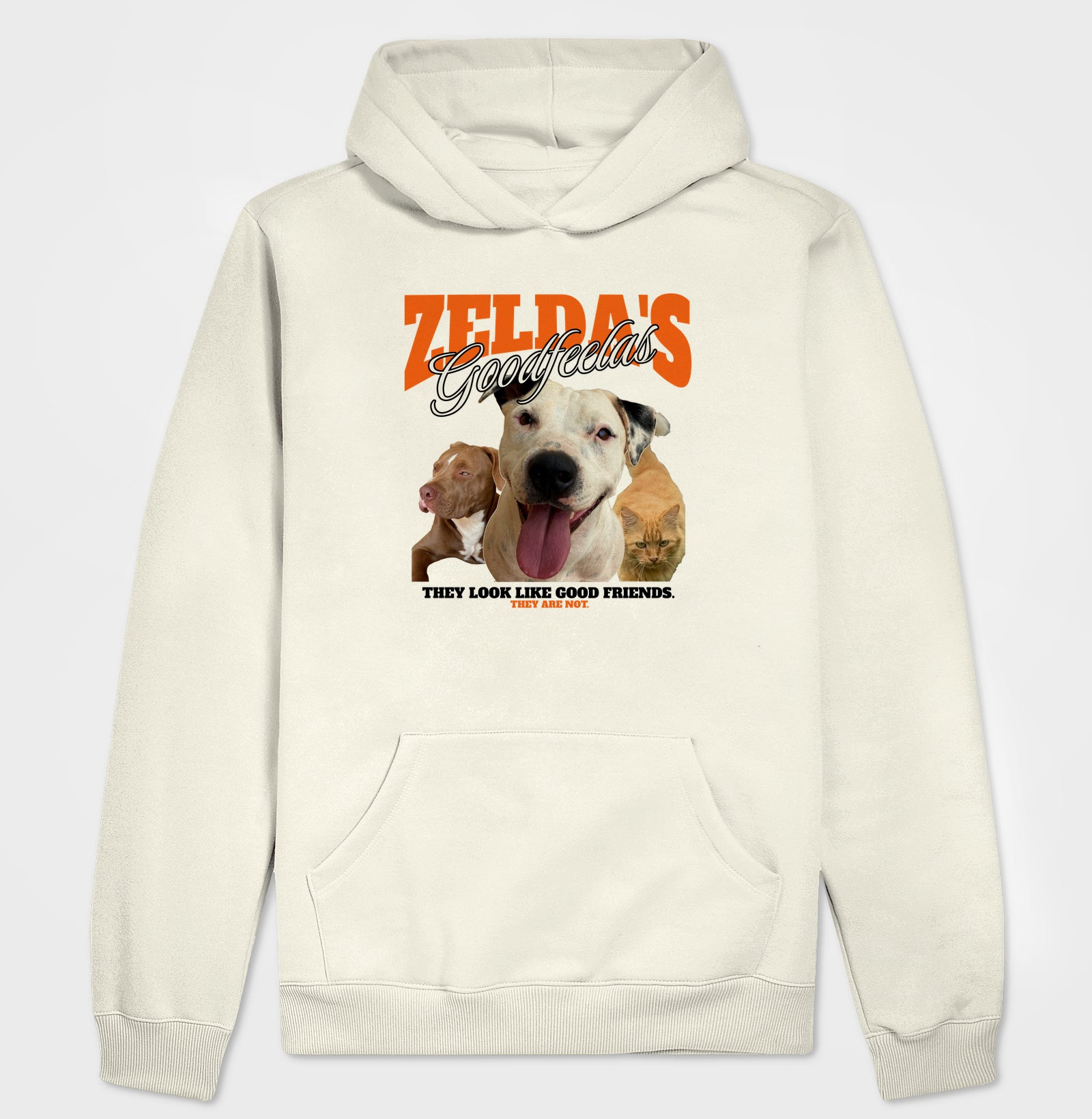 Bons Companheiros de Zelda (Só que não)