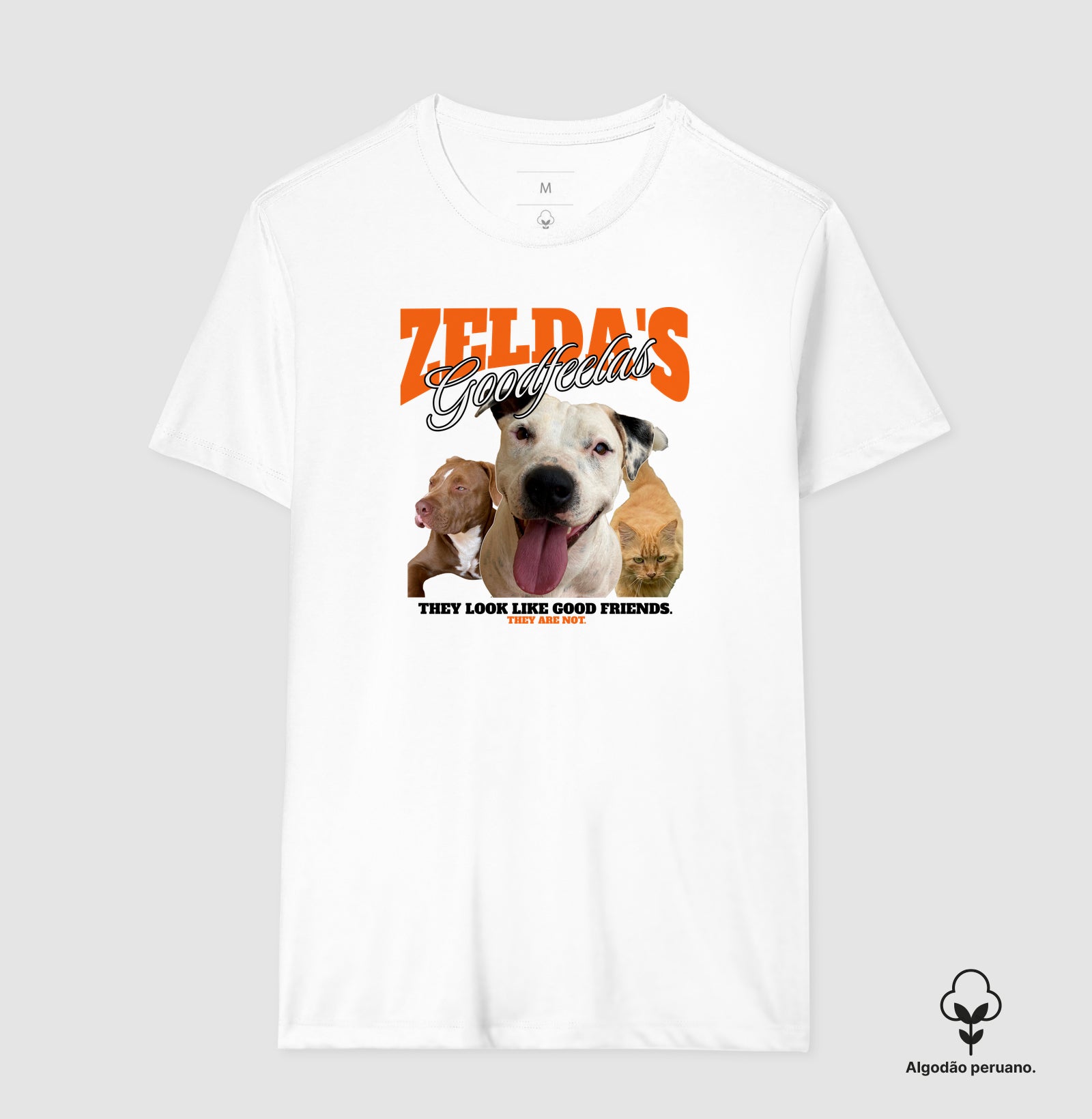 Bons Companheiros de Zelda (Só que não)