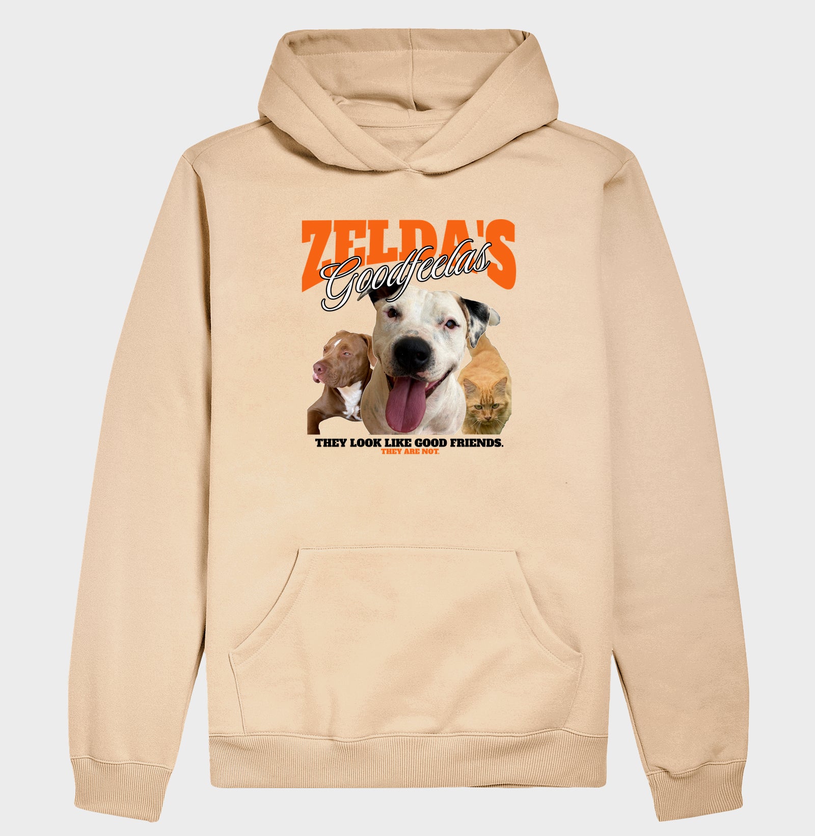 Bons Companheiros de Zelda (Só que não)