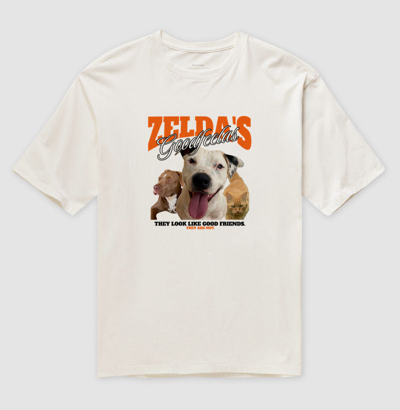 Zelda - Bons Companheiros (Só que não)