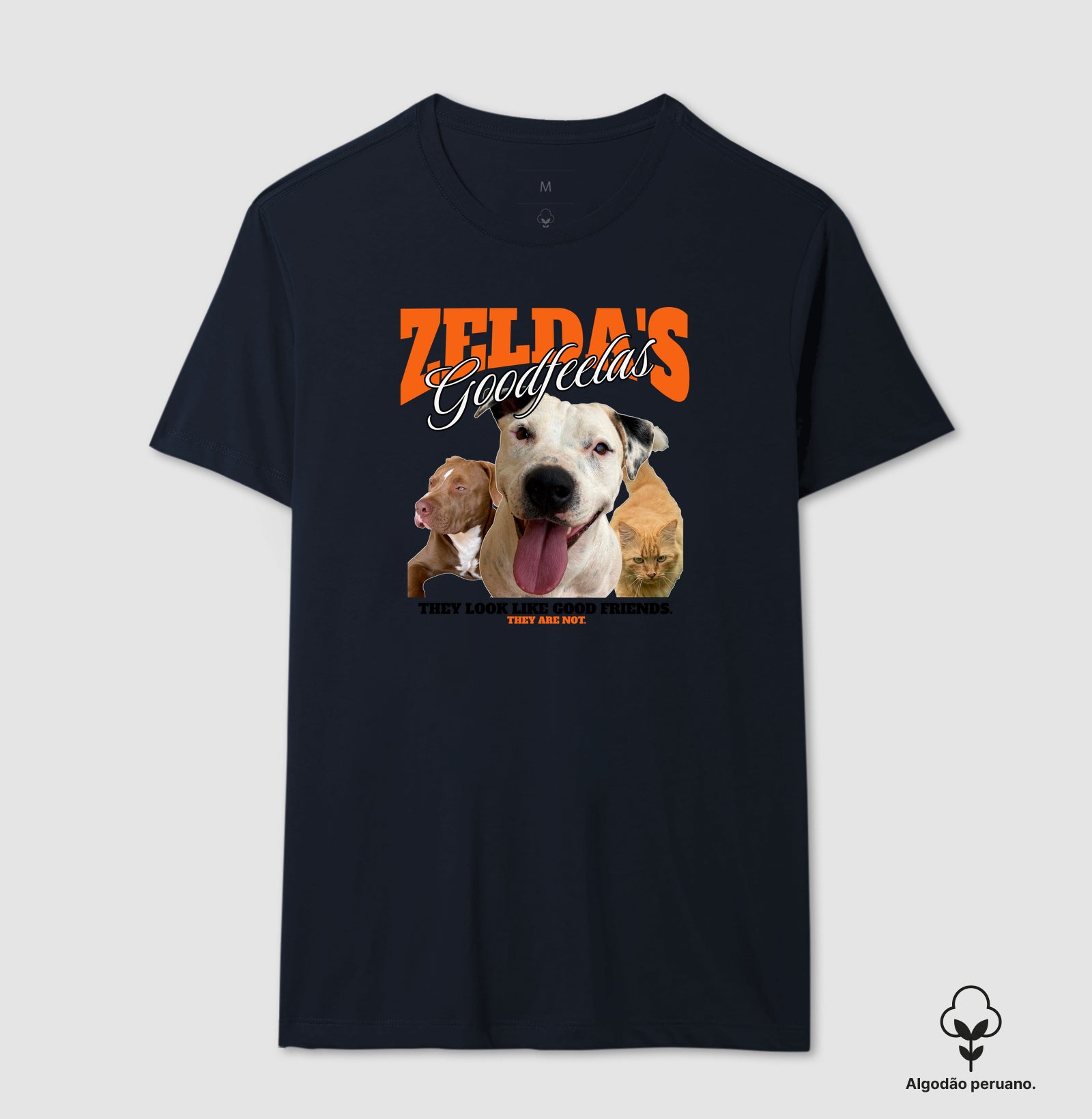Bons Companheiros de Zelda (Só que não)