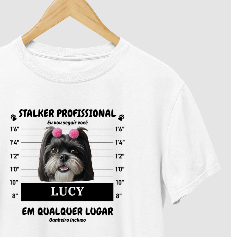 Stalker Profissional