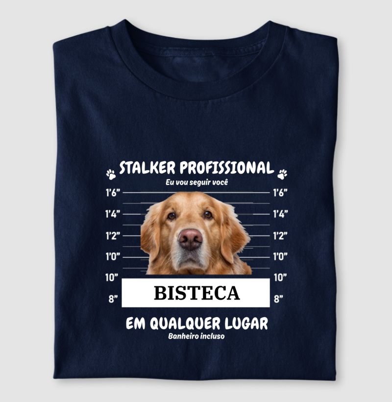 Stalker Profissional