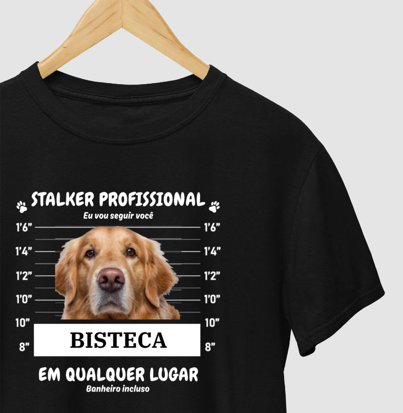 Stalker Profissional